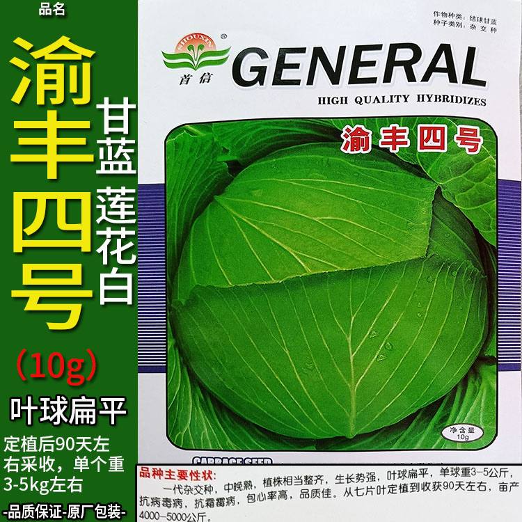 甘蓝扁平渝丰四号10g莲花白种子孑籽卷心包菜椰洋圆芥蓝白高丽包