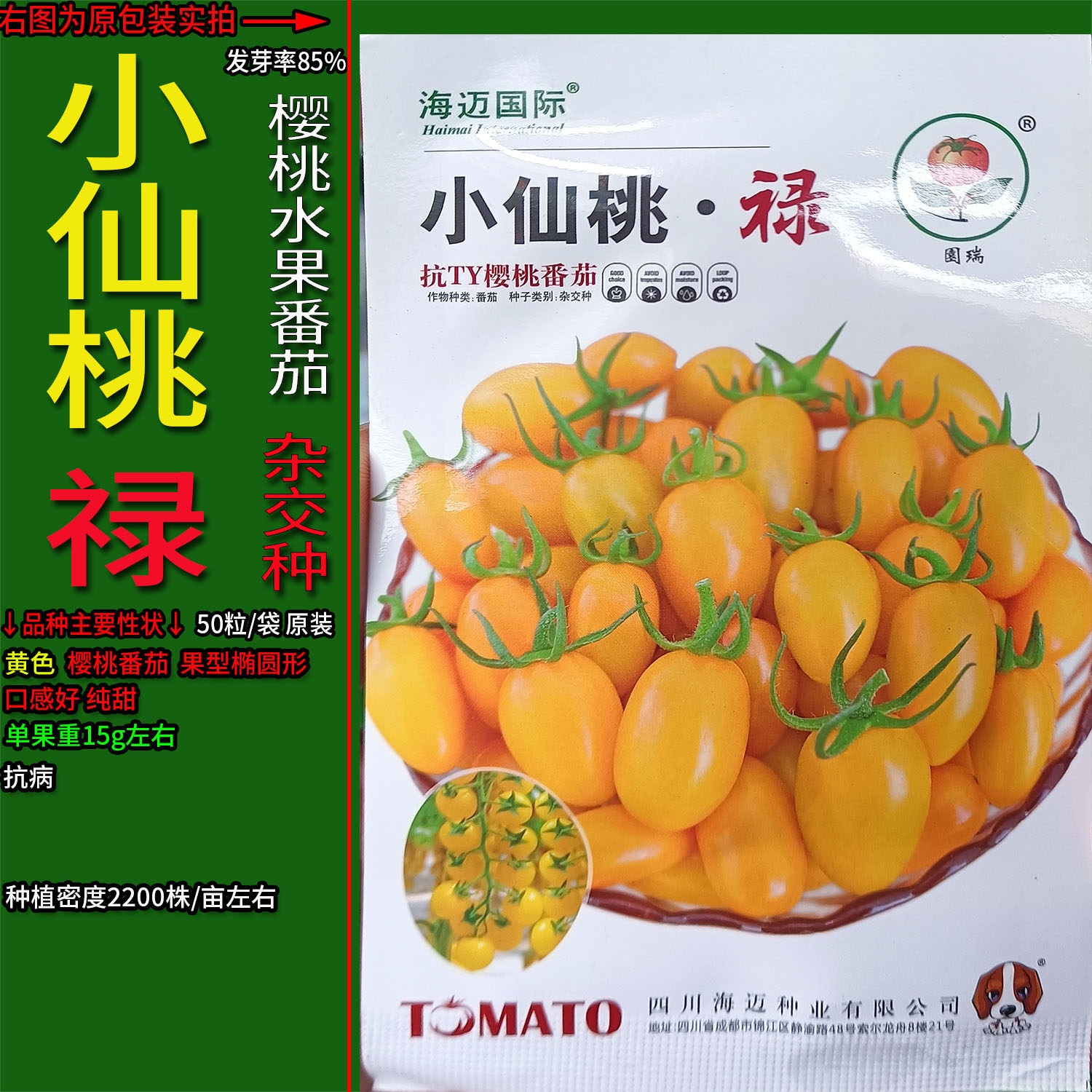 小仙桃禧【50粒】红圣女果水果樱桃小番茄西红柿种子孑籽洋辣椒春