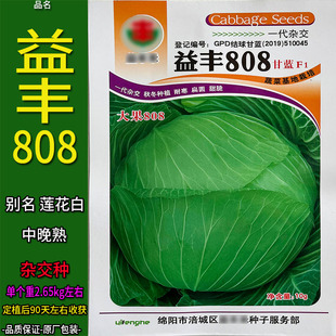 益丰808甘蓝10g莲花白扁圆蔬菜种子孑籽卷心包菜椰洋脆芥蓝白高