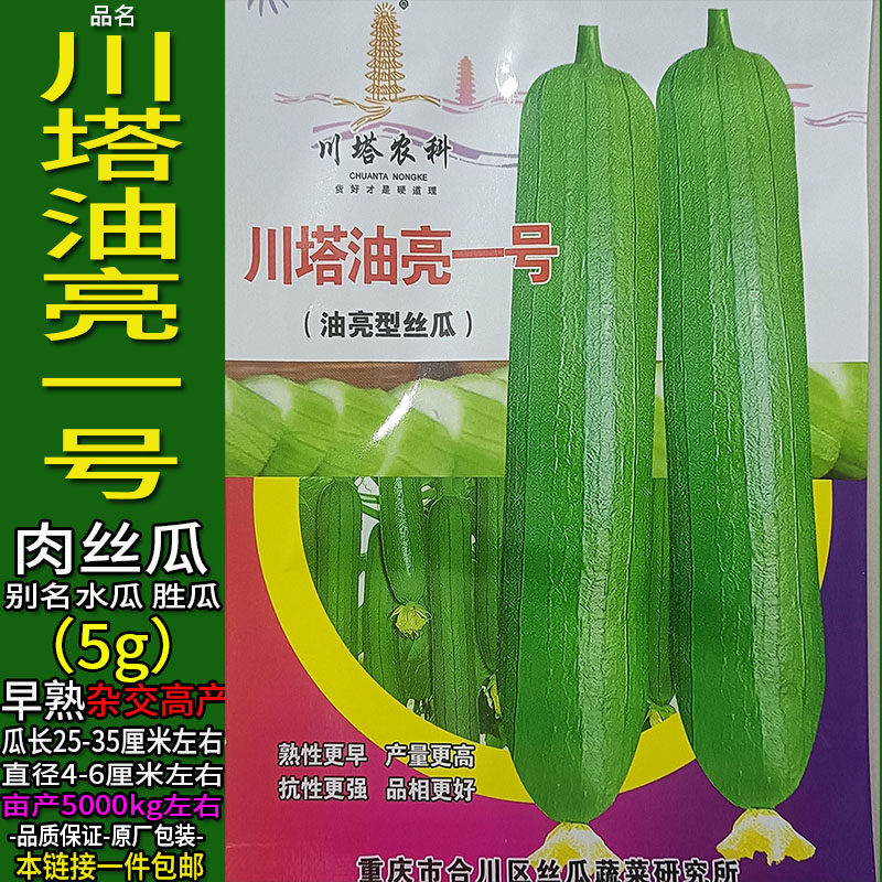 川塔油亮一号5g杂交高产大肉香丝瓜种子孑籽薄皮胜菜水瓜蔬菜甘香,鲜花速递/花卉仿真/绿植园艺,家庭园艺种子,淘宝优惠券,粉丝福利购,淘宝优惠卷