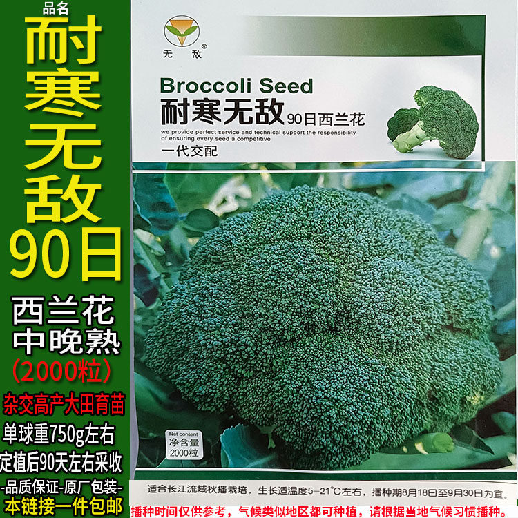 耐寒无敌90日2000粒西兰花杂交高产种子孑籽青绿花菜甘蓝椰花菜蔬