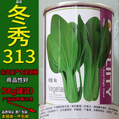 冬秀313 50g上海青高产四季 蔬菜种子孑籽别名青梗菜瓢儿瓶小白菜