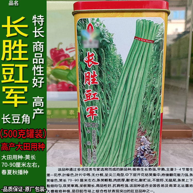 长胜豇军500g高产长豆角豇豆带豆四季蔬菜种子孑籽脆高产大田棚酸