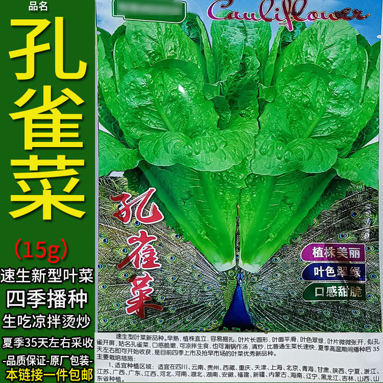 孔雀菜15g新型速生叶菜四季蔬菜种子孑籽有机生菜油麦菜杂交品种