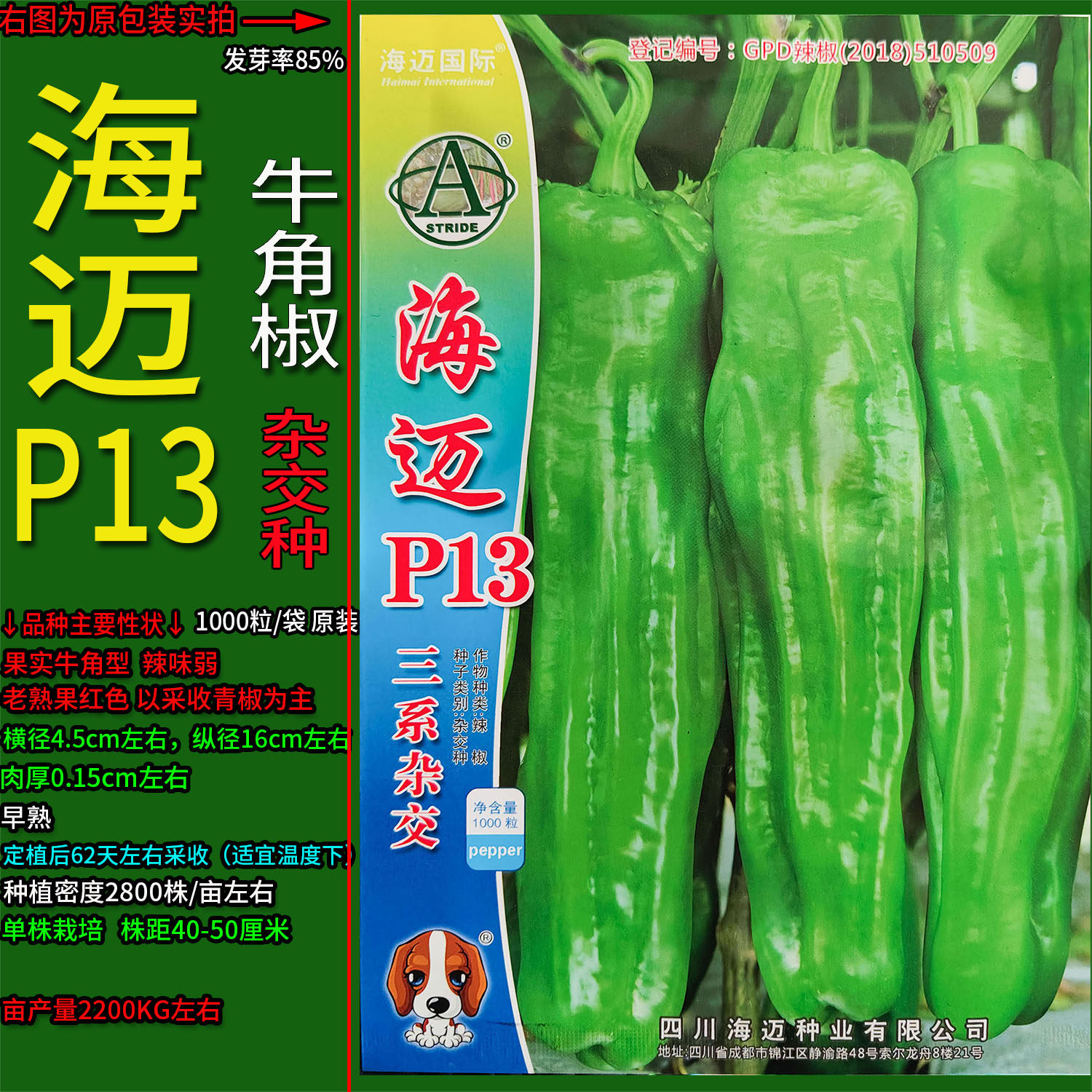 海迈P13薄皮椒辣椒蔬菜种子杂交