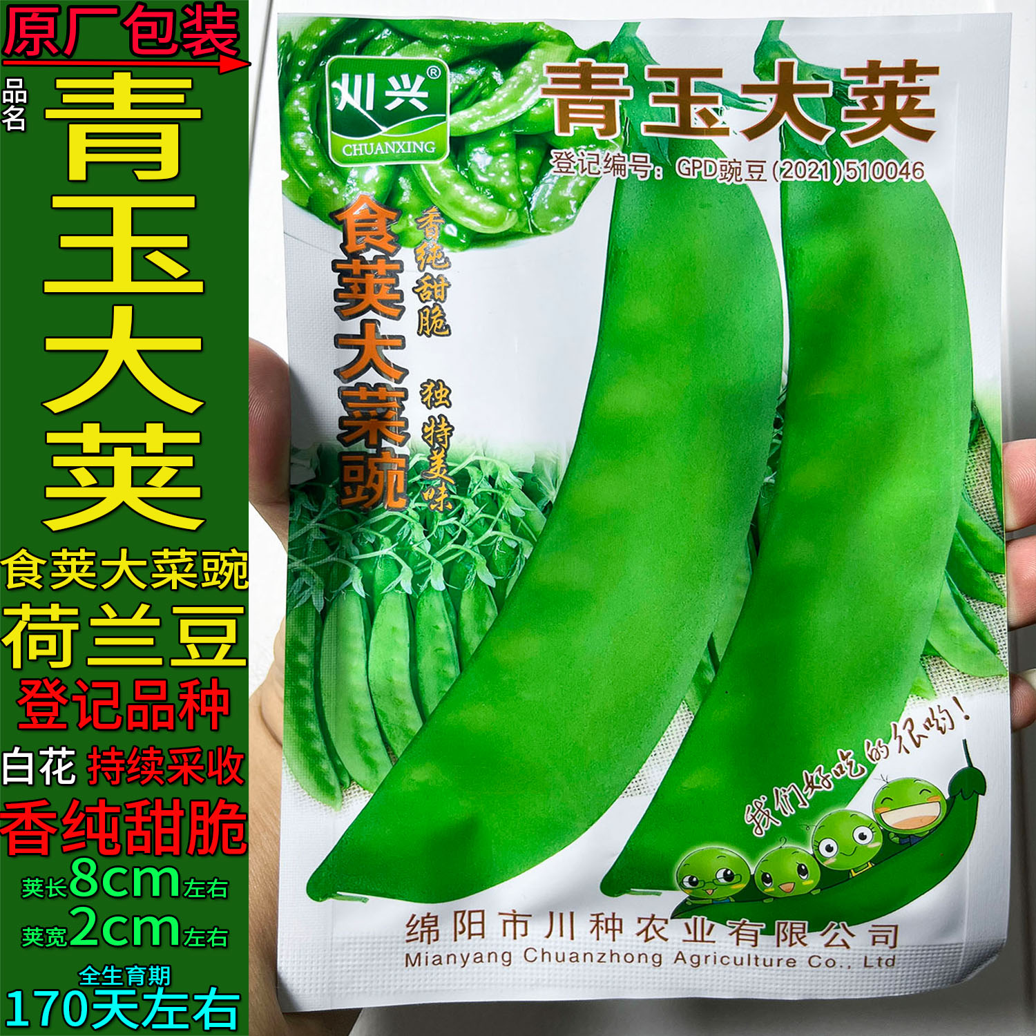 青玉大荚40g软荚大菜豌豌豆荚别名荷兰豆蔬菜种子孑籽青豌豆米麦