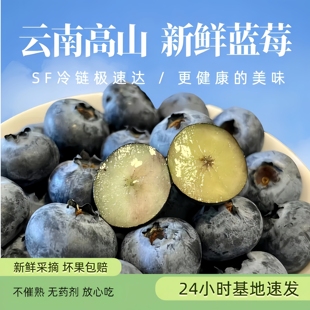 云南蓝莓大果当季 L25花香新鲜高山水果孕妇怡颗蓝梅整箱