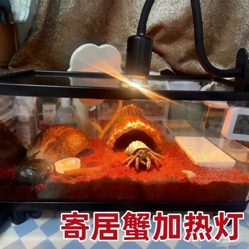 寄居蟹加热灯温控加热器乌龟守宫蜥蜴蜘蛛爬宠专用恒温保温取暖灯图片