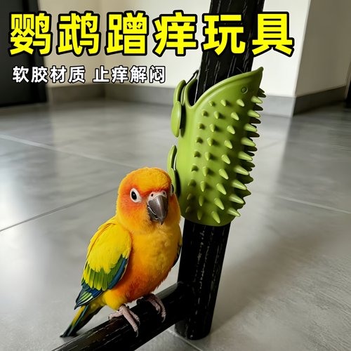 鹦鹉蹭痒玩具玄凤蹭毛器防咬桌腿绑带固定毛发按摩自嗨挠痒鸟梳子