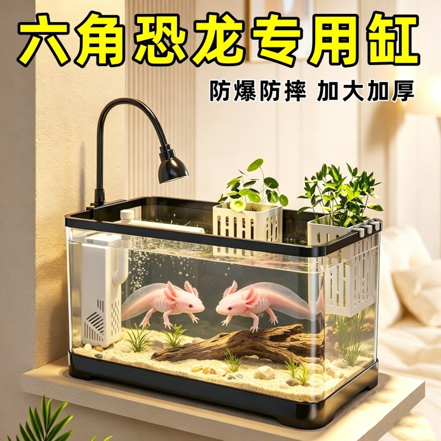 六角恐龙鱼专用缸家用小型长方形生态造景娃娃鱼蝾螈鱼乌龟饲养缸