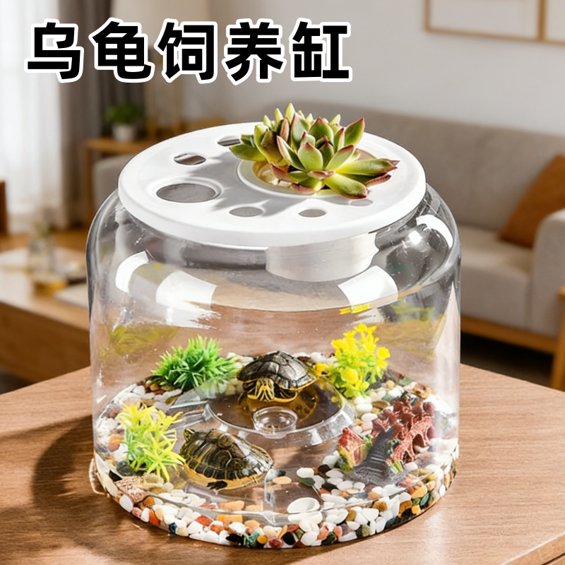 乌龟饲养缸鱼缸生态造景晒爬台客厅桌面小型龟缸