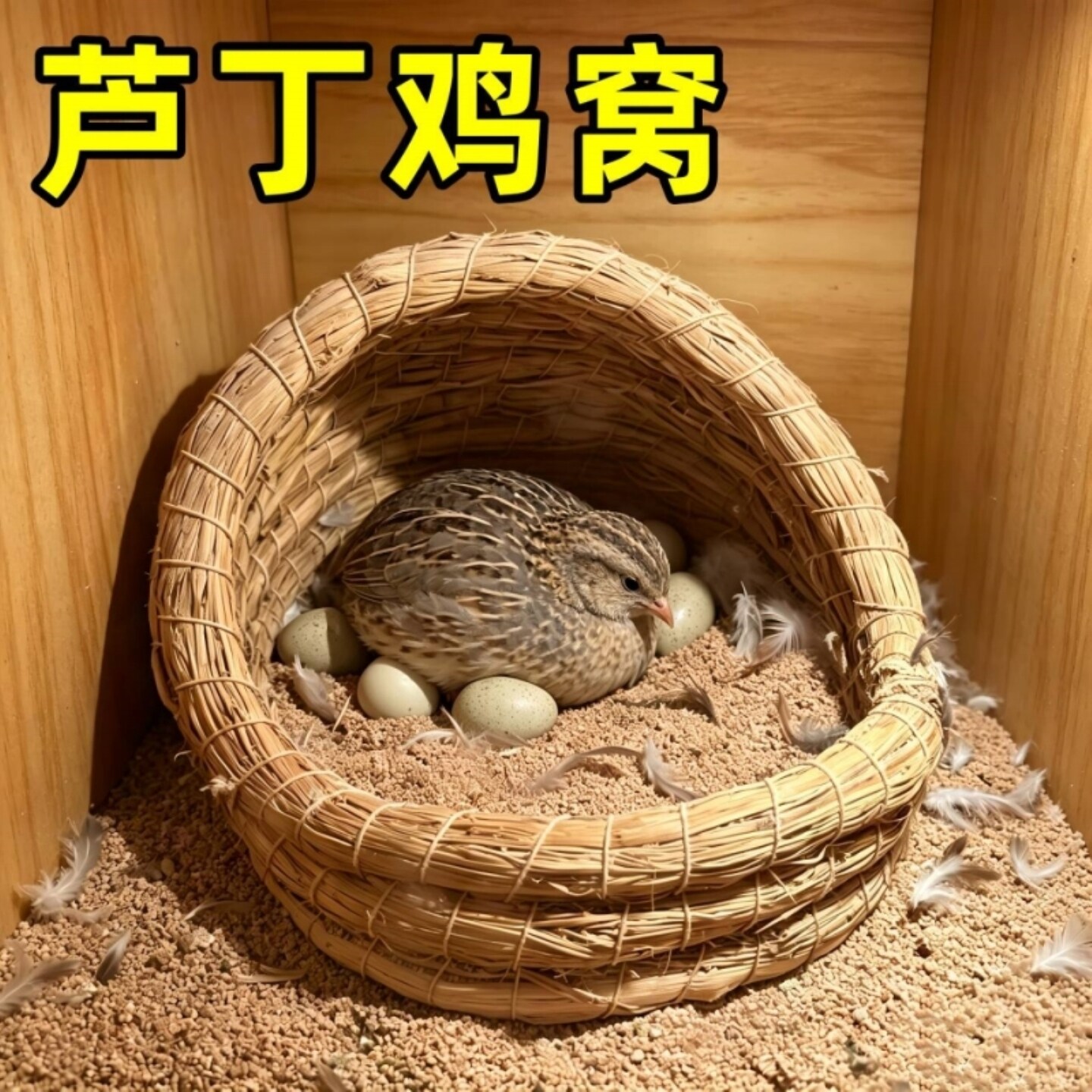芦丁鸡窝孵蛋下蛋窝保暖饲养箱产蛋草编窝鹦鹉鸟窝小鸡鹌鹑专用窝