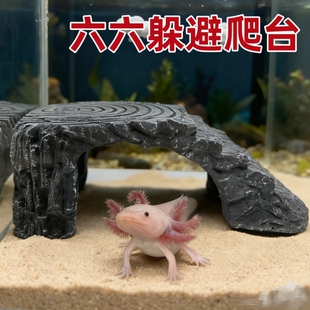 六角恐龙躲避屋小宠蝾螈专用躲藏洞穴用品乌龟观赏鱼陶瓷鱼缸造景