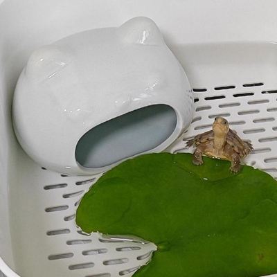 乌龟躲避屋饲养草龟小青龟巴西龟专用睡觉窝龟缸陶瓷卡通摆件造景