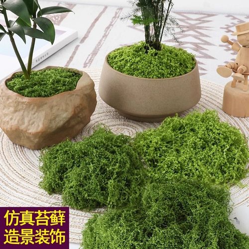仿真苔藓丝毛线苔藓盆景铺面绿植