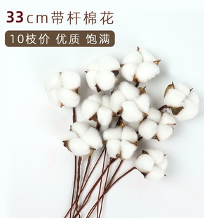 白色天然棉花头带壳带杆干花花艺diy 花束配件花店装饰材料圣诞节
