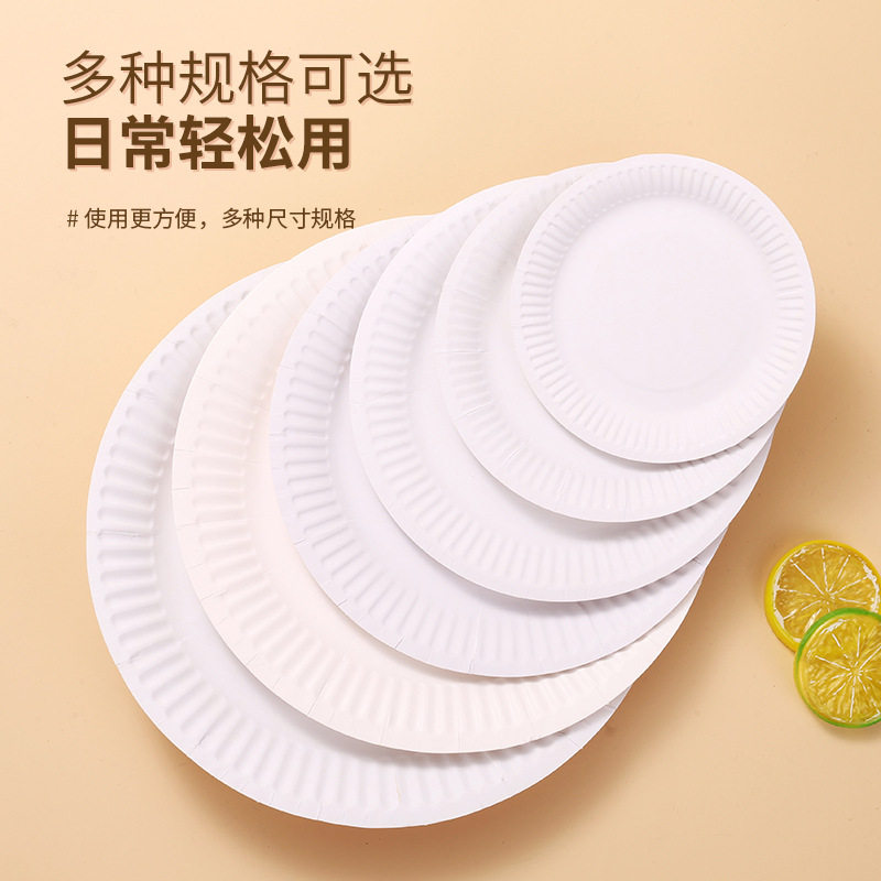diy一次性白色纸盘涂鸦绘画图片
