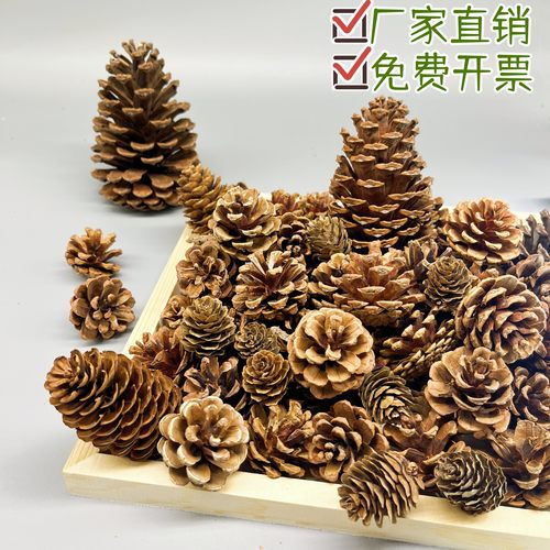 松果亲近自然儿童手工居家装饰