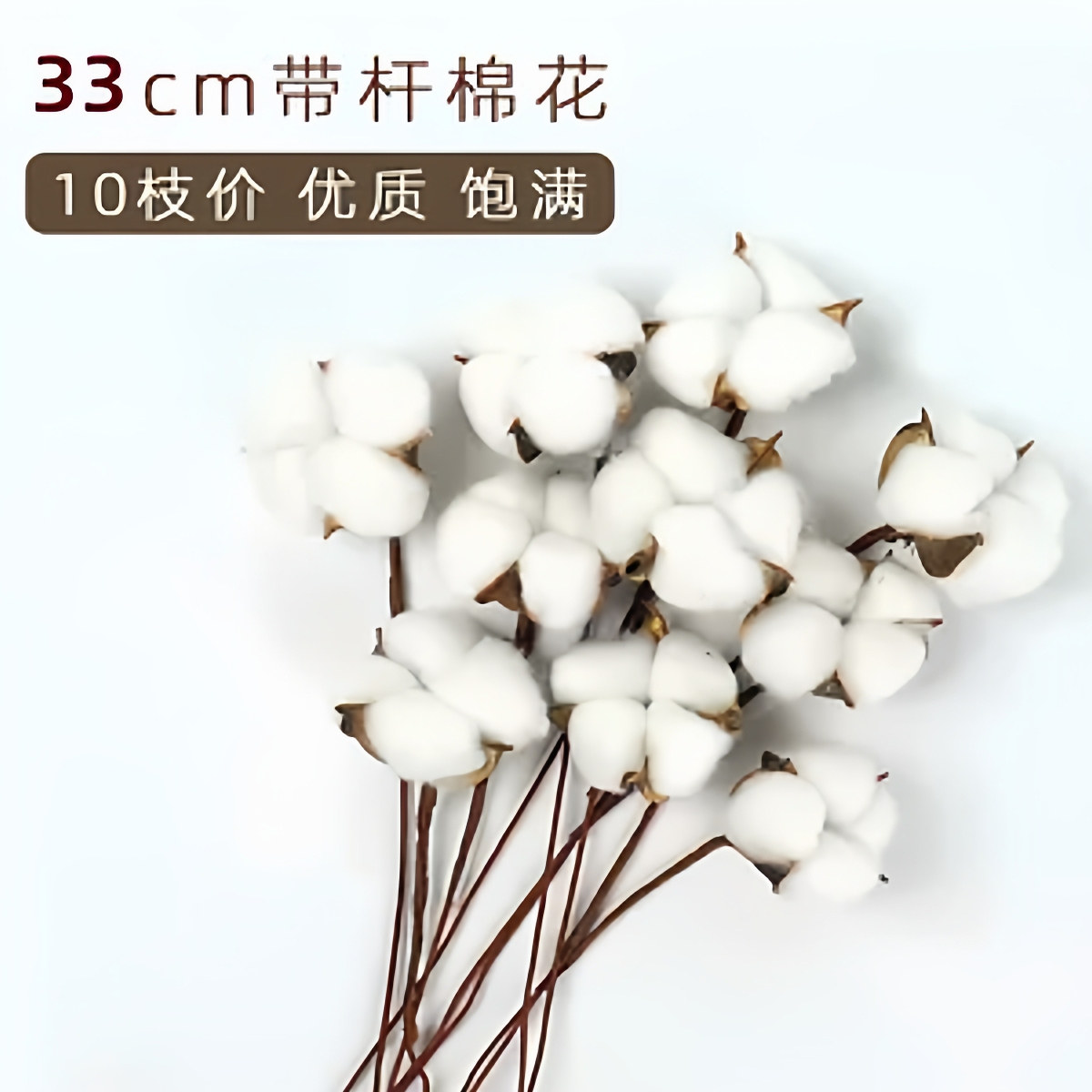 白色天然棉花头带壳带杆干花花艺diy 花束配件花店装饰材料圣诞节