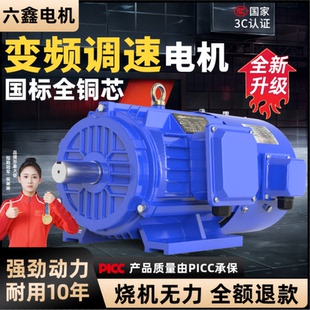 全铜变频电机调速三相异步电动机380V15/22/30/45/55/75/90kw马达