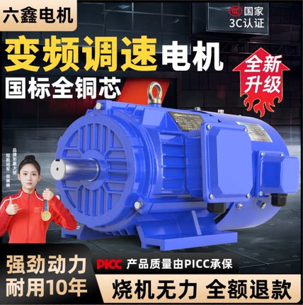 全铜变频电机调速三相异步电动机380V15/22/30/45/55/75/90kw马达