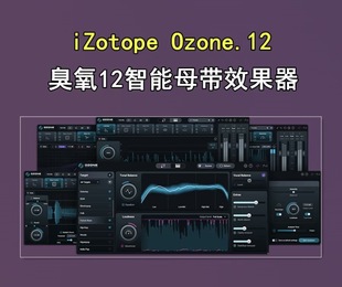 正版iZotope Ozone 12 Advanced RX11 插件联盟 臭氧母带处理插件