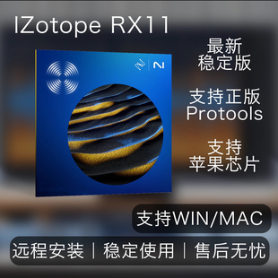 iZotope正版 rx11大师版 ozone11 大师版 臭氧永久授权 插件联盟
