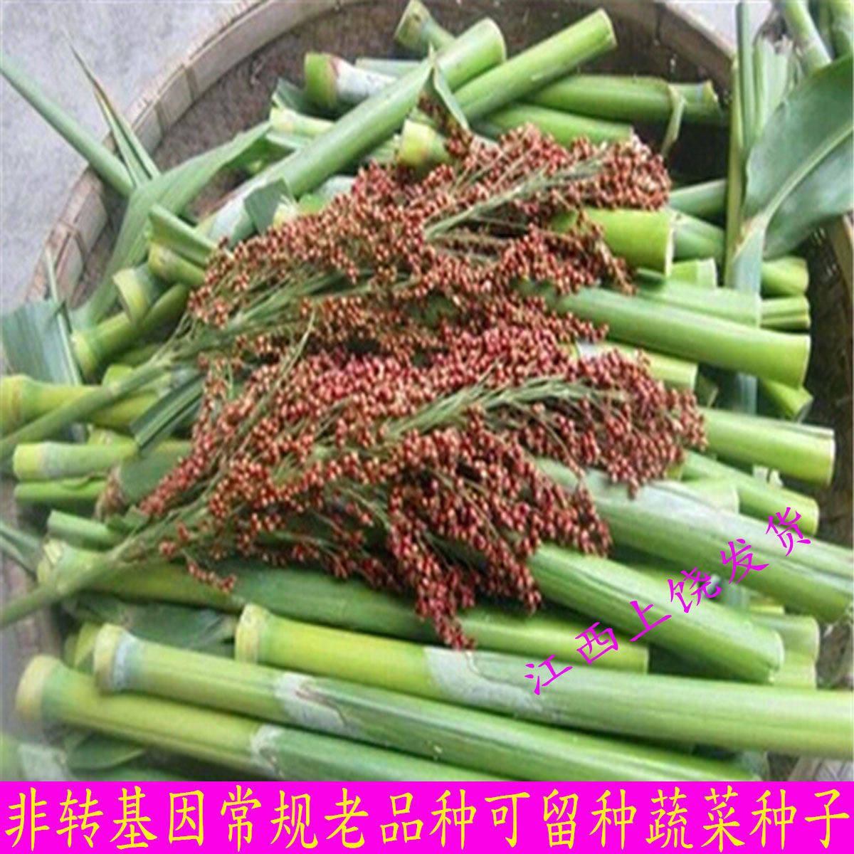 可留种春夏播自留非转基因常规老品种北方甘蔗甜高粱甜杆芦栗种子|ruв категории доставка цветов/цветок моделирования/растения садоводства, цветок/овощи и фрукты/газон семян (новая), домашнее садоводство семян - от Buy2taobao.com для оказания профессиональной услуги покупки агента Taobao