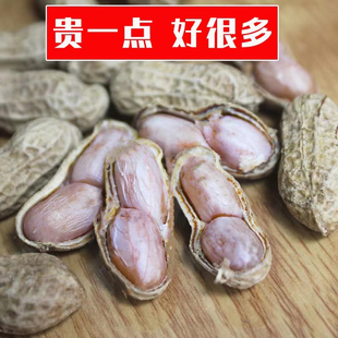 新花生福建盐水花生龙岩水煮白晒咸干花生蒜香湿烤花生年货零食