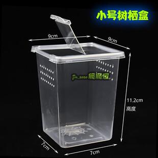 巨拟叶螽斯活体螽斯巨型螽斯拟叶螽鸣虫蝈蝈竹节虫活体特色宠物