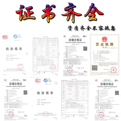 新款BXM(D)51系列防爆照明(动力)配电箱(IIBI包邮