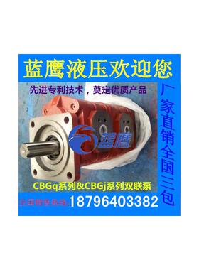 新款CBGFa2100/2080/2063/2040双联铲车CBGv2032液压齿轮油泵包邮