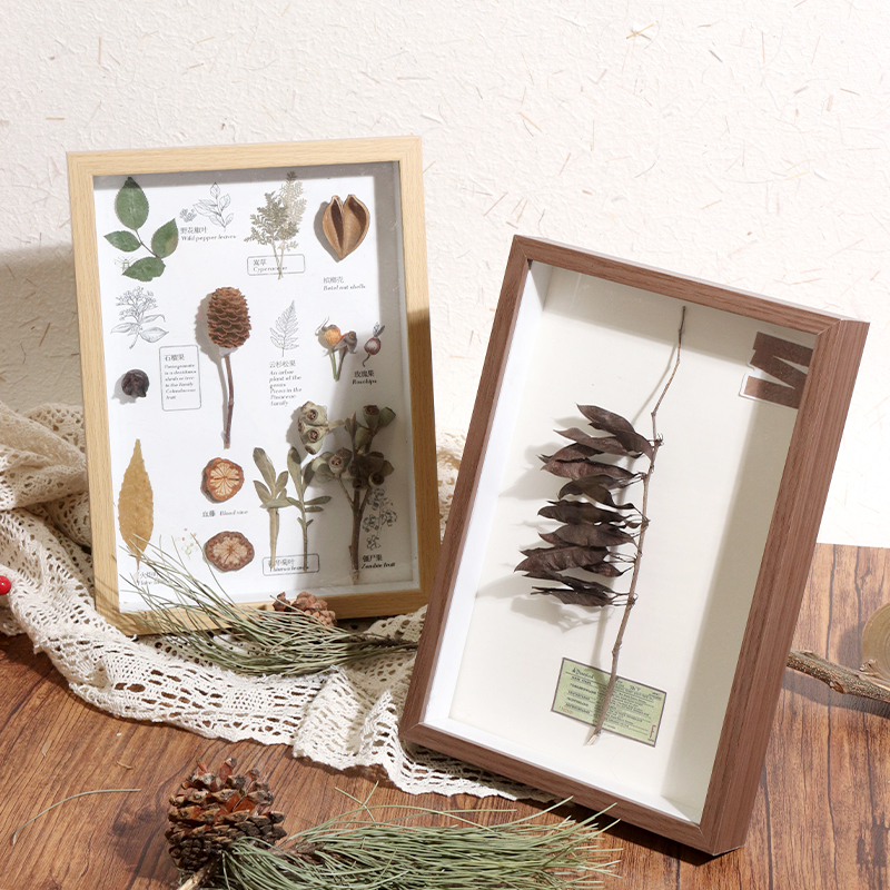 干花植物标本相框中空立体diy创意框手工压花标本展示盒相框摆台