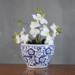 中国风花盆陶瓷高档家用客厅阳台青花瓷兰花专用绿植盆