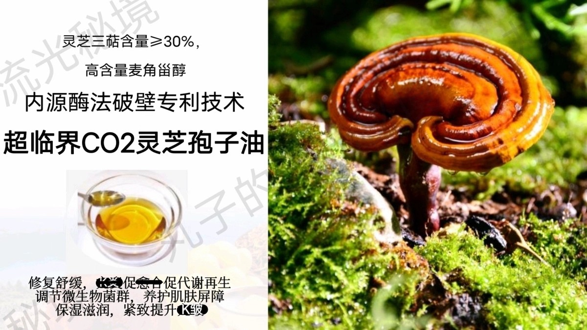 专利超临界CO2灵芝孢子油 修护舒焱保湿紧致K缞 以油养肤护肤原料