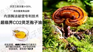 超临界CO2灵芝孢子油 赤芝提取物油溶 修护舒焱保湿紧致K缞原料