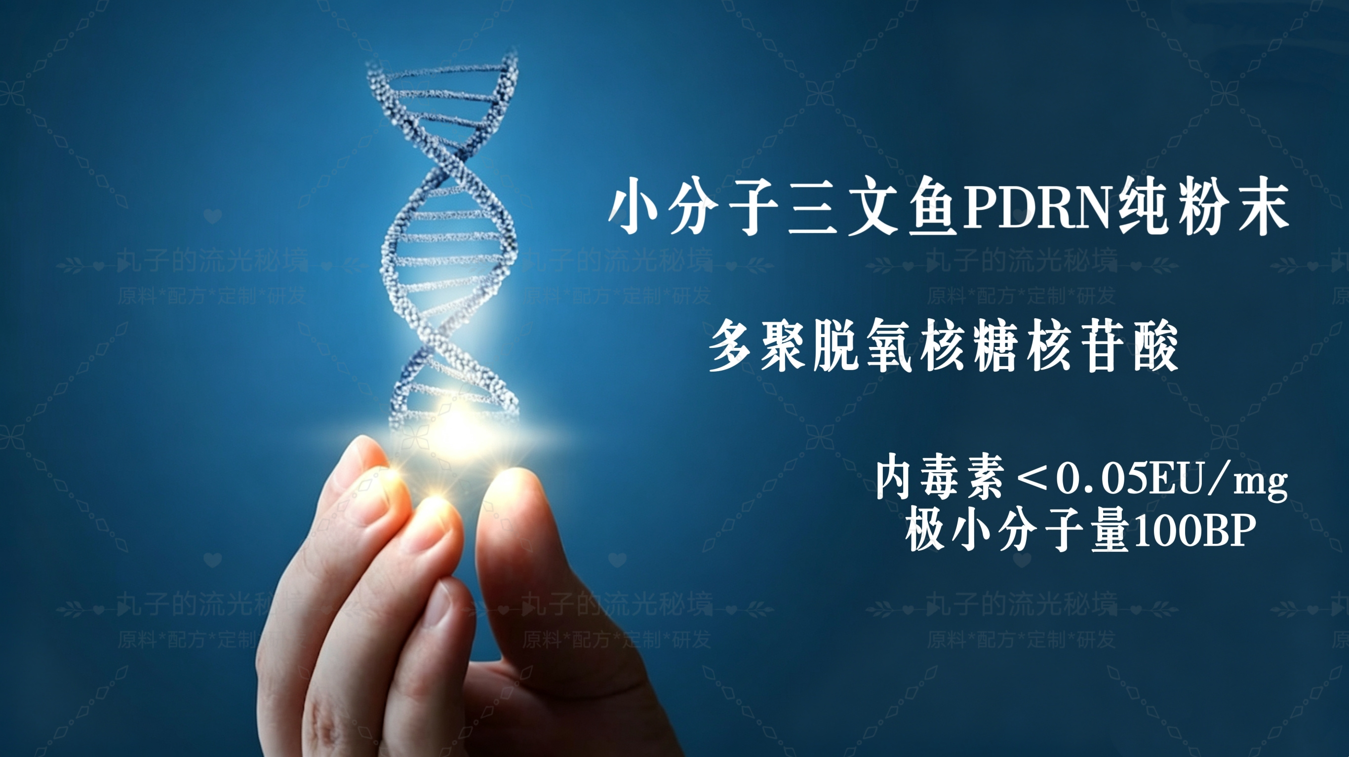 三文鱼PDRN纯粉末 极小分子量DNA钠 Y焱修护淡纹紧致焕白护肤原料