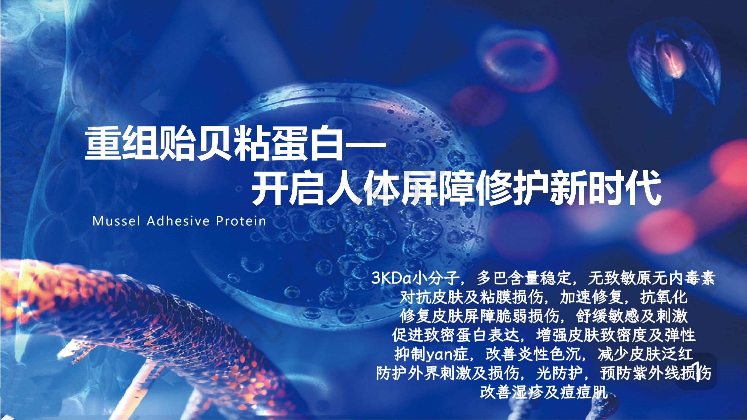专利重组贻贝粘蛋白 修复抗yan退红 舒敏高保湿光防护 养厚皮原料