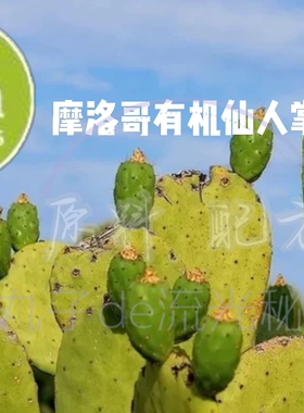 美国Eden摩洛哥产有机冷压初榨仙人掌籽油全能基底基础油芳疗原料