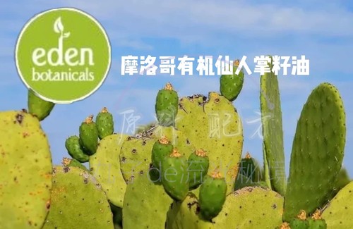 美国Eden摩洛哥产有机冷压初榨仙人掌籽油全能基底基础油芳疗原料