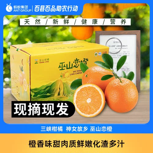 巫山恋橙新鲜现摘先发纽荷尔脐橙