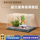 超白玻璃鱼缸客厅小型家用桌面乌龟缸造景生态缸斗鱼金鱼方缸裸缸