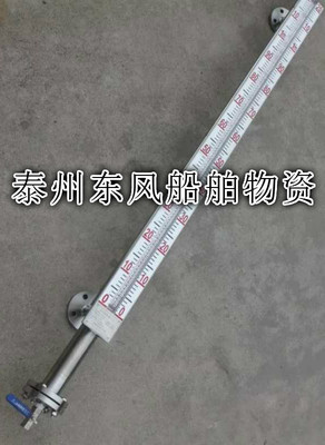 船用磁翻转液位计不锈