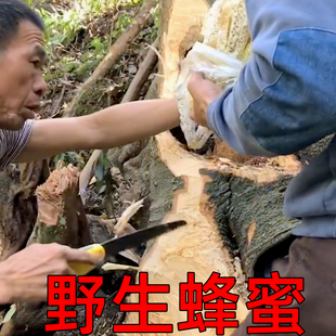 深山里的野生的百花蜜纯天然无污染冬天采割的土蜂结晶蜜糖