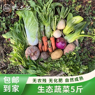 初土记新鲜自种时令蔬菜套餐蔬菜组合5斤装【可选4-5种生鲜蔬菜】