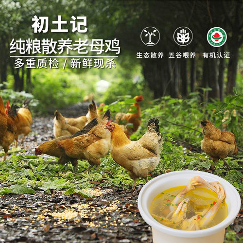 初土记有机土鸡老母鸡走地鸡
