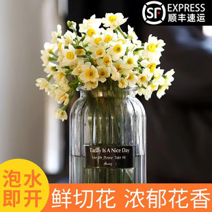 水培花卉室内装 漳州水仙花种球花枝冬季 饰春节花束 现摘鲜切花