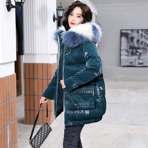 浙宝B馆121A ZB121A8960