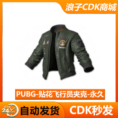 Pubg皮肤贴花飞行员夹克CDK