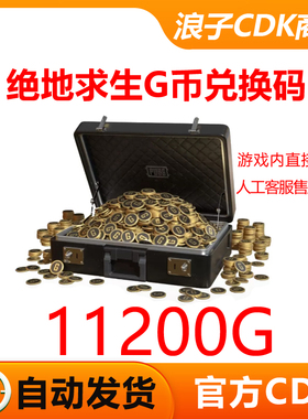 PUBGG币绝地求生11200G币CDK吃鸡游戏币皮肤充值官方兑换码金币